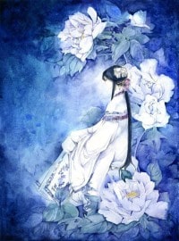 超脱万象